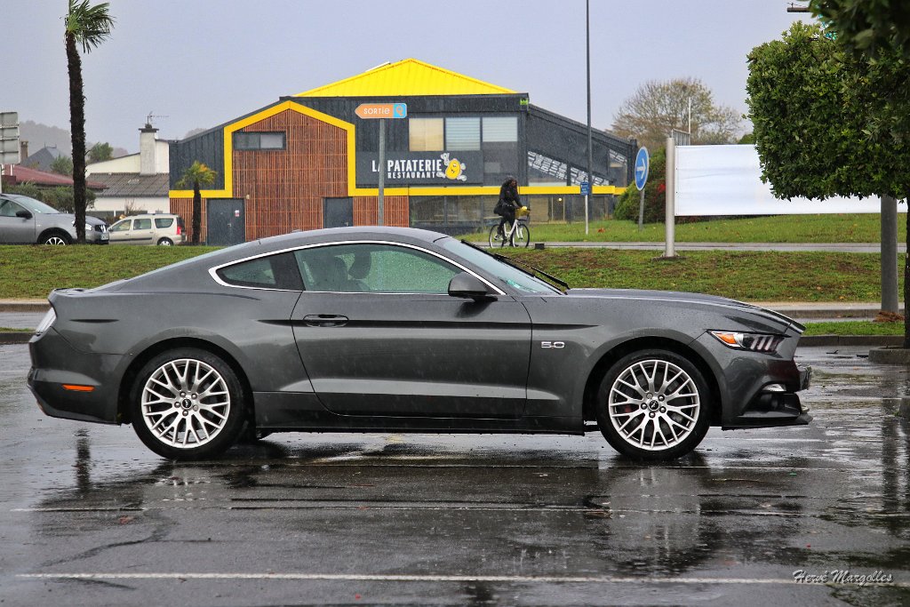 Ford-Mustang-03.JPG