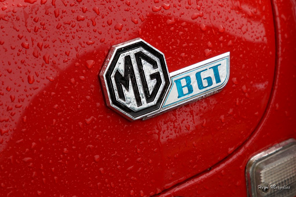 MG-BGT-02.JPG