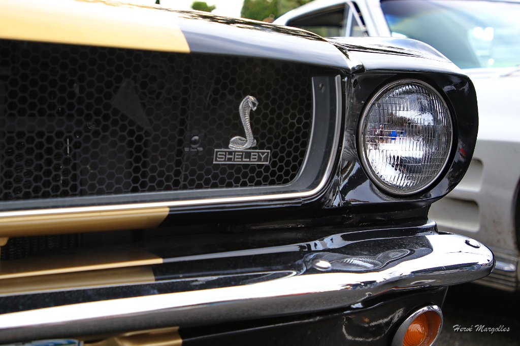 Ford-Mustang-21.JPG