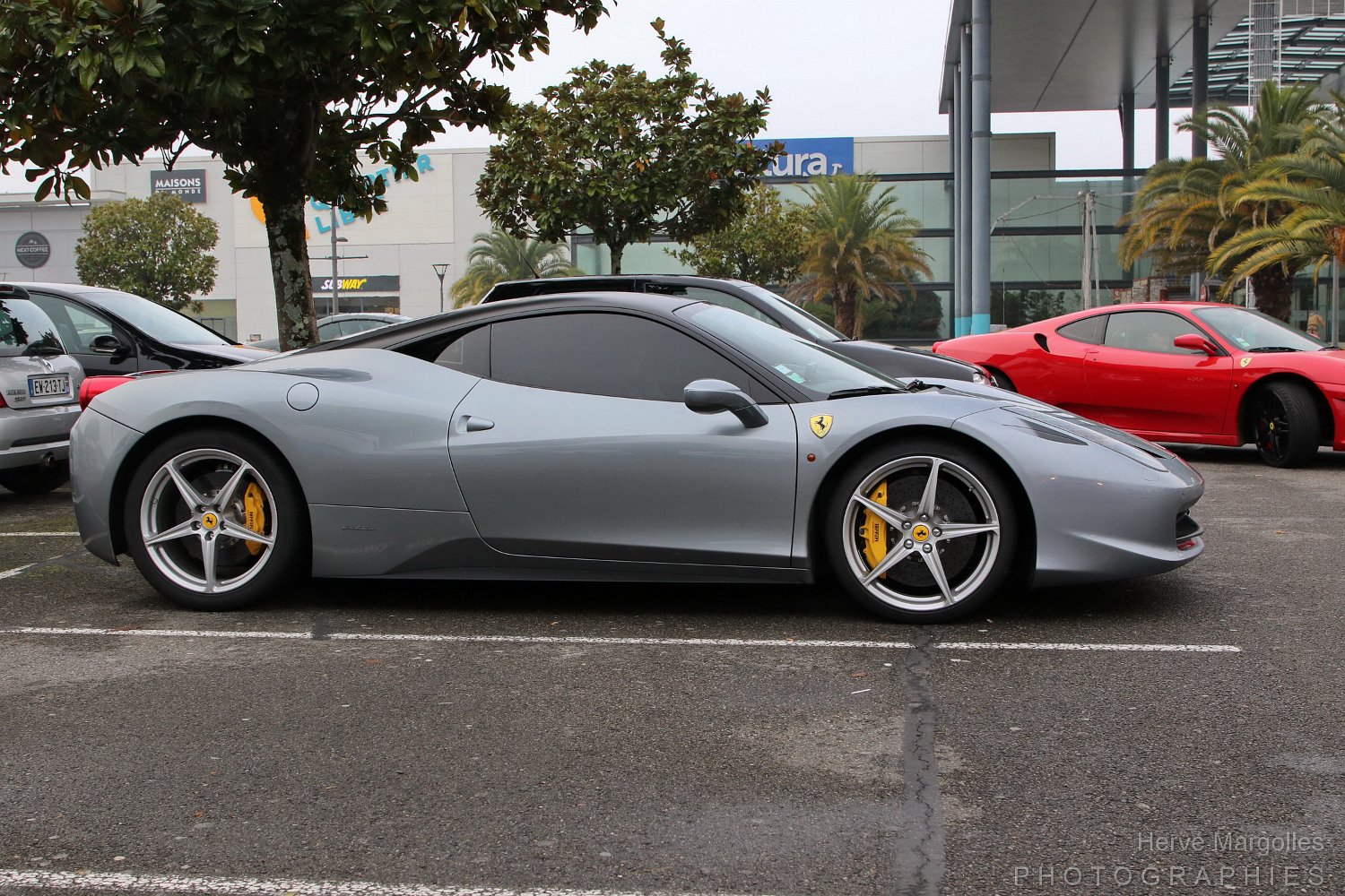 Ferrari--01.JPG