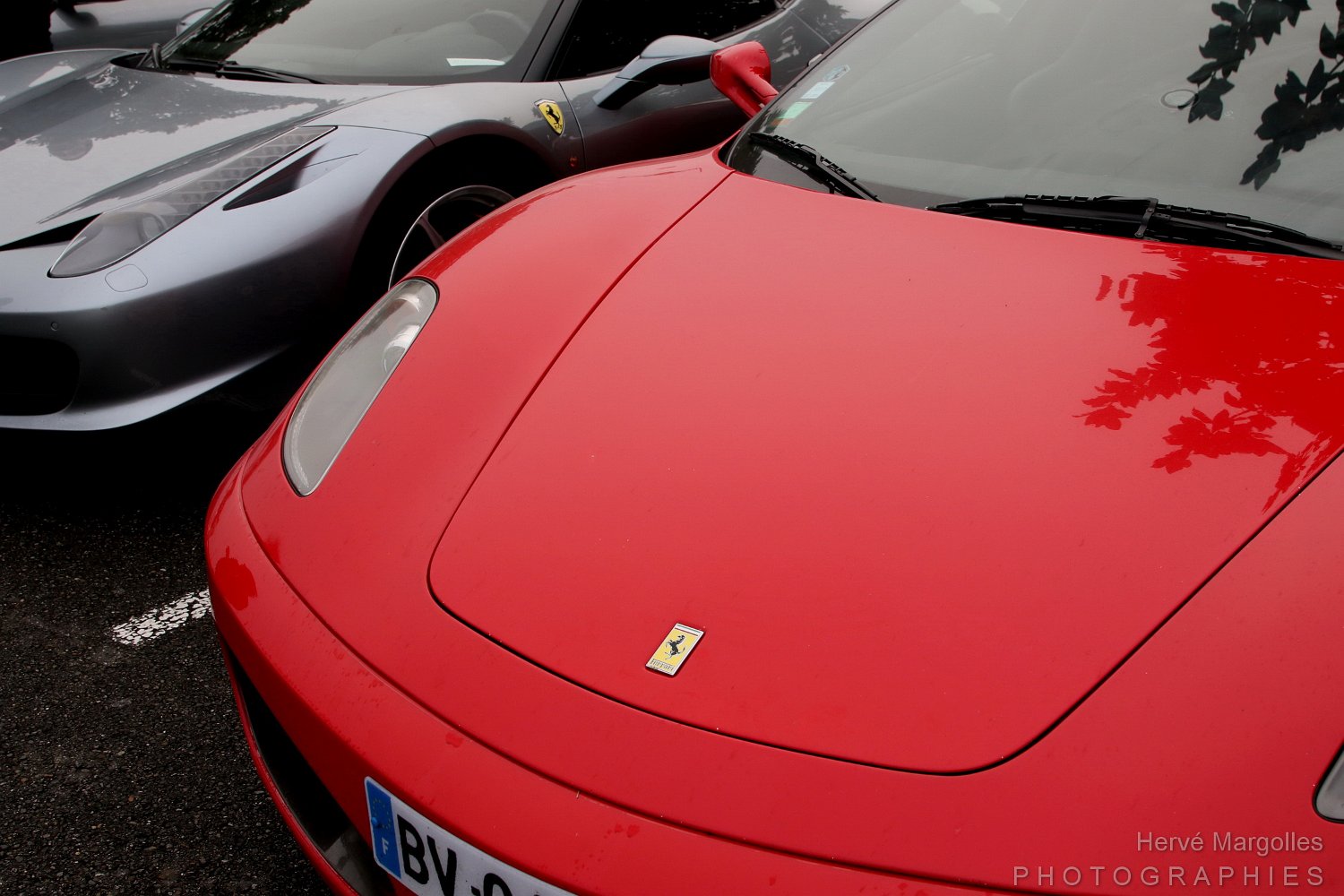 Ferrari--03.JPG