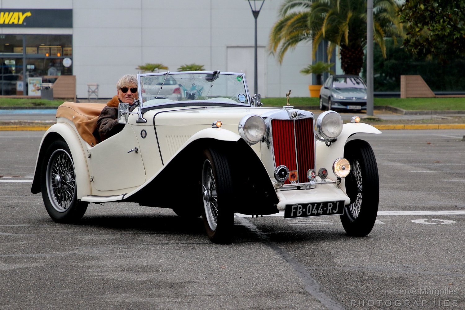 MG-TD-01.JPG