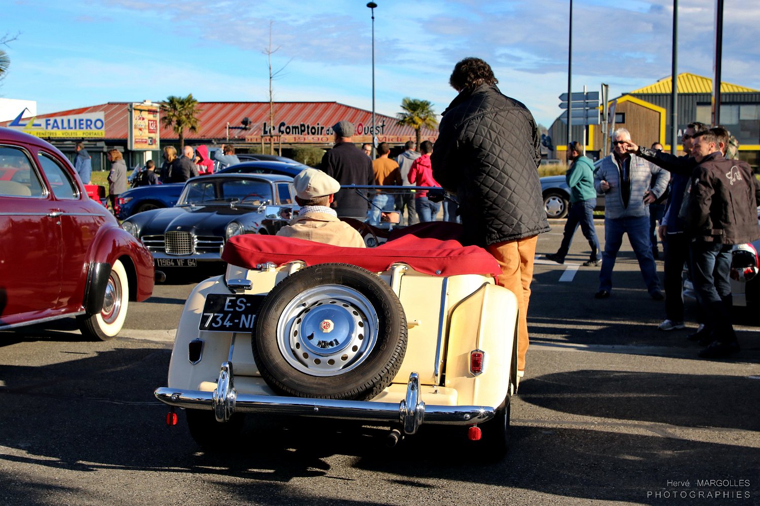 Mg-01.jpg