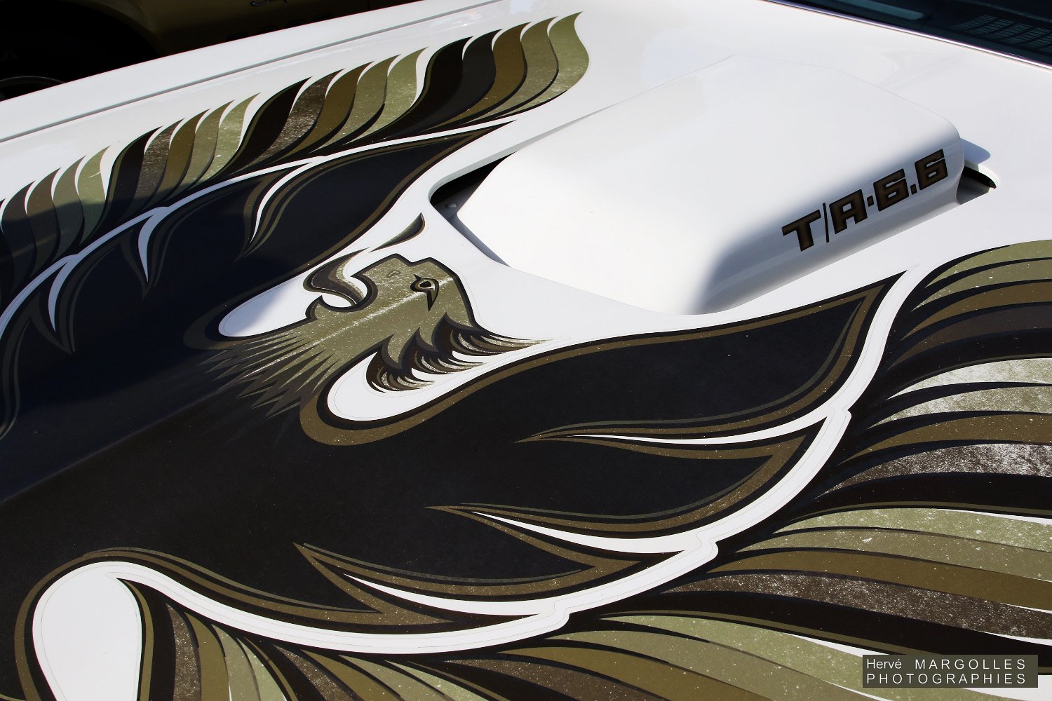USA_Pontiac-Trasam-Firebird-02.jpg
