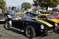 AC-Cobra-01