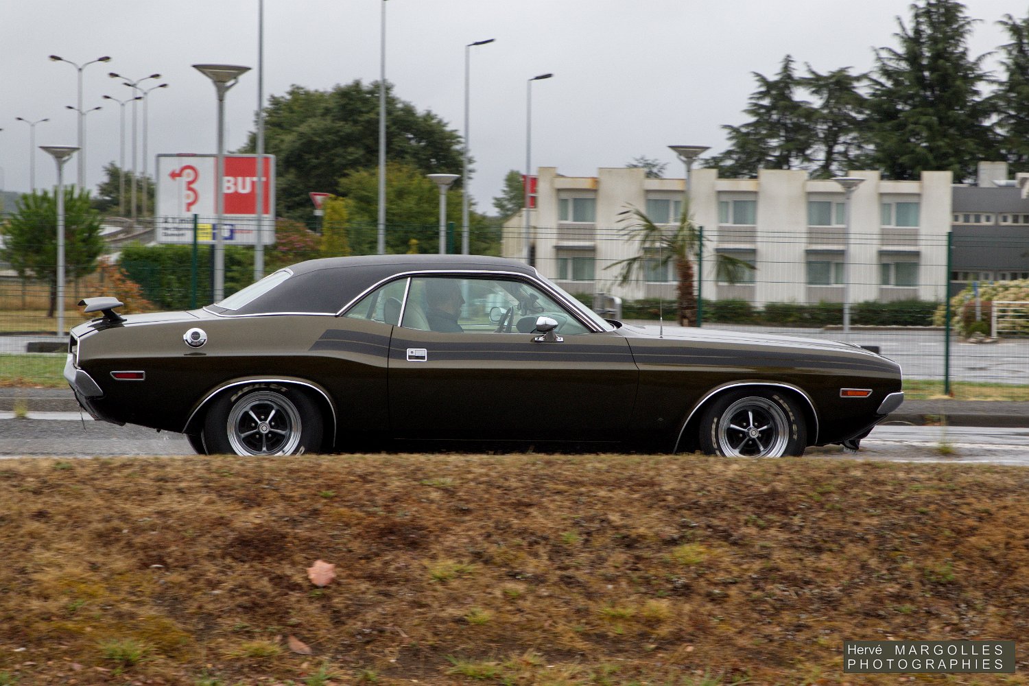 Dodge-Chalenger-01.jpg