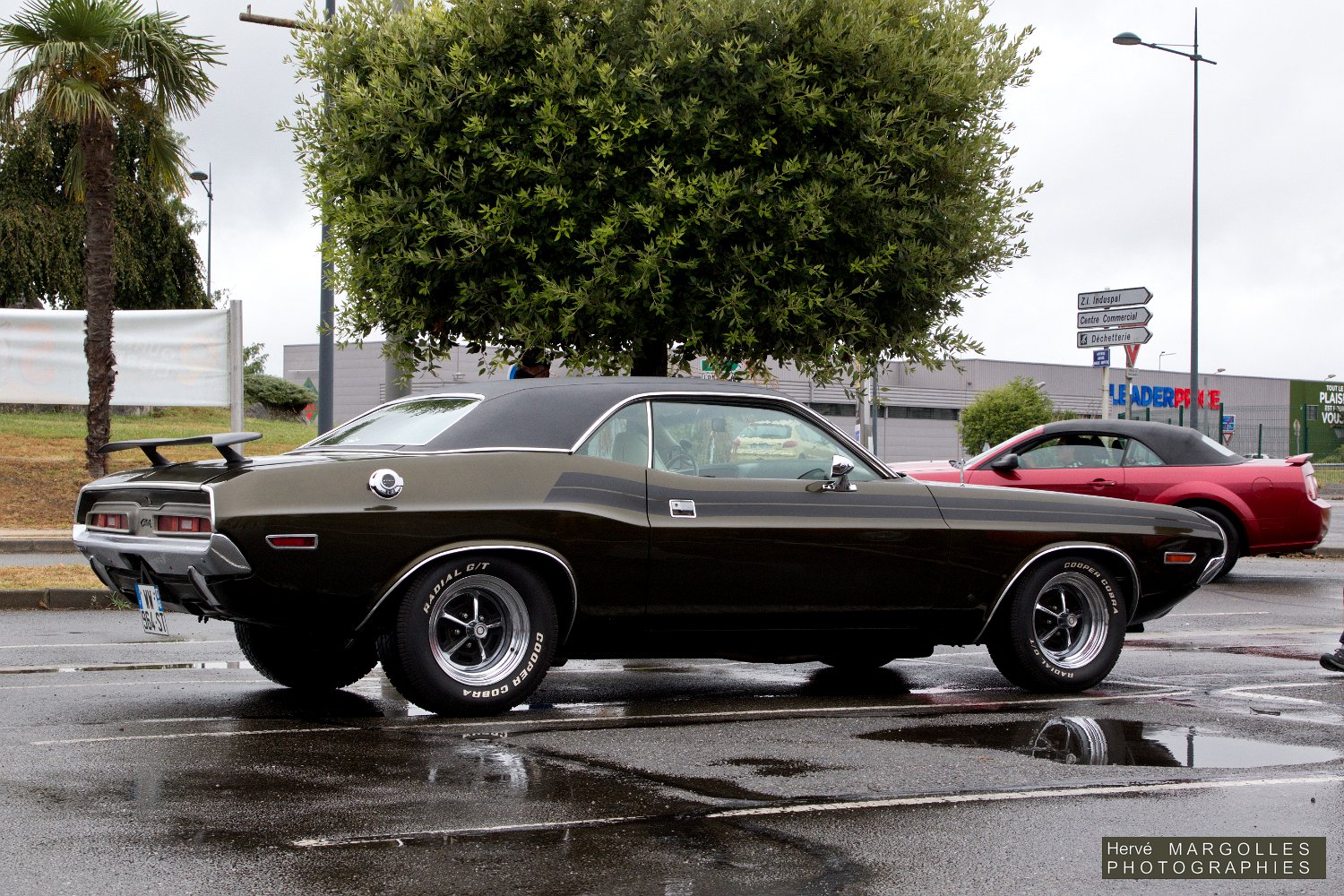 Dodge-Chalenger-02.jpg