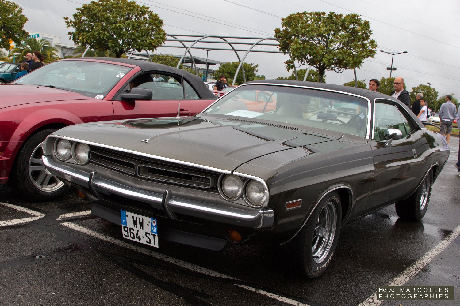 Dodge-Chalenger-03.jpg