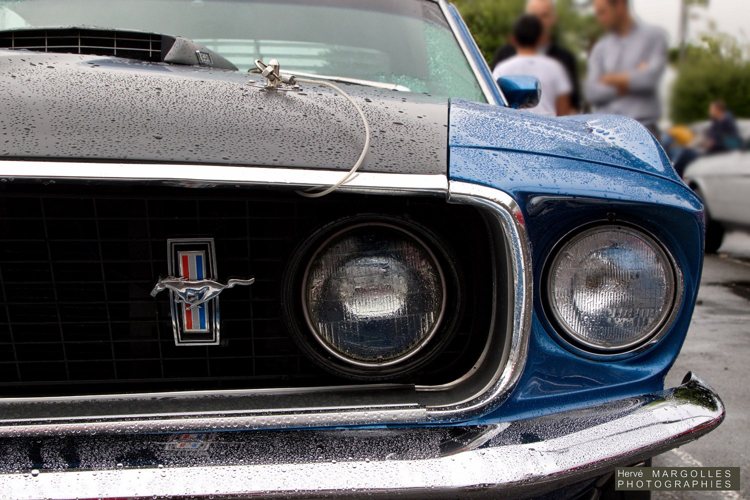 Ford-Mustang-02.jpg