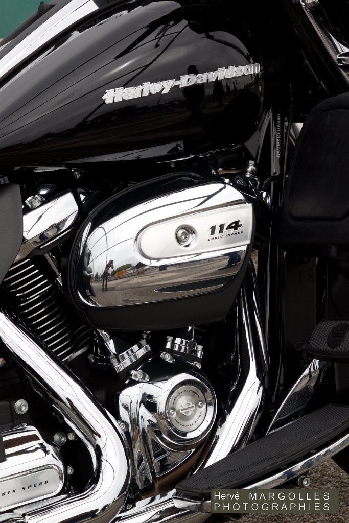 Harley-01.jpg