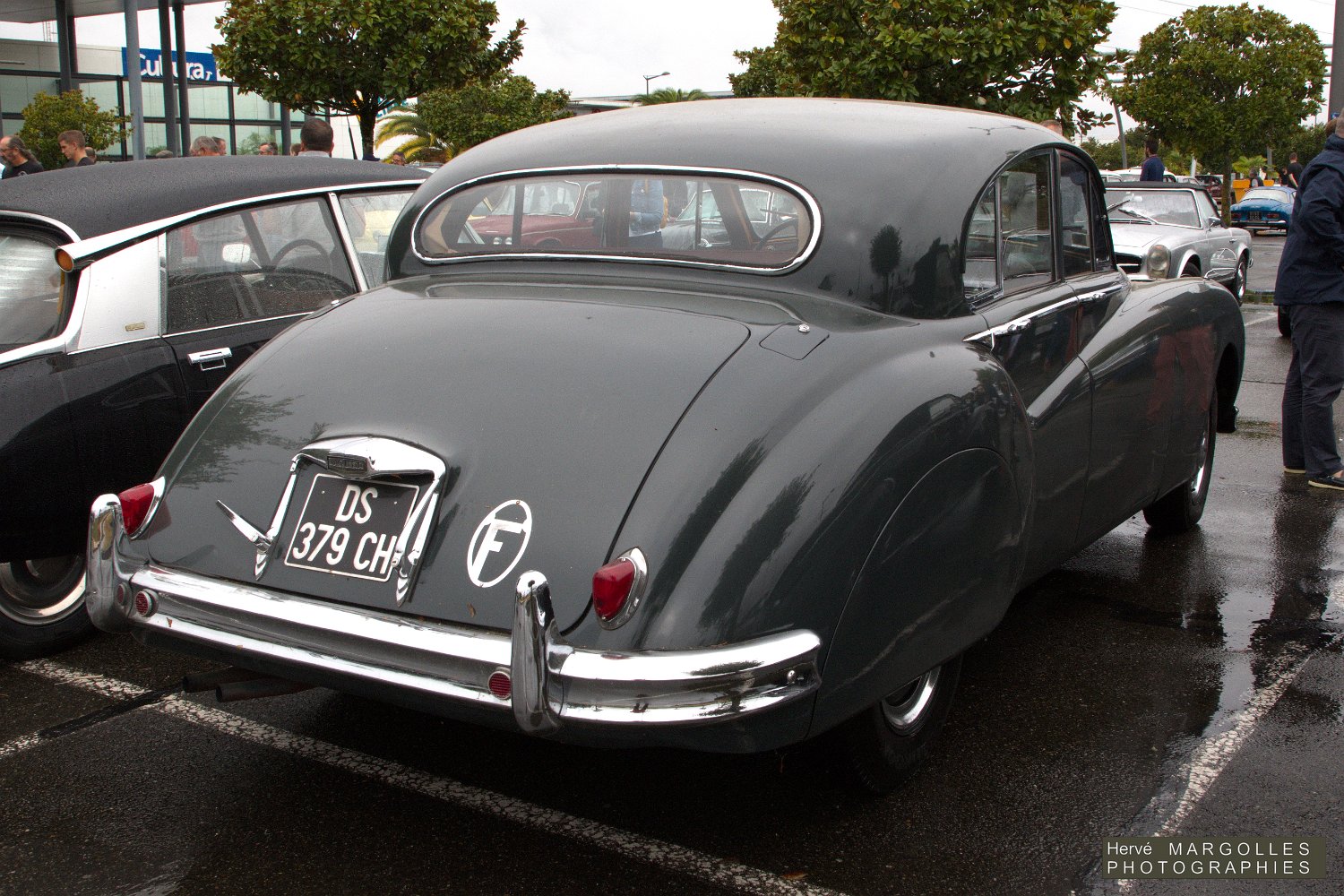 Jaguar-01.jpg