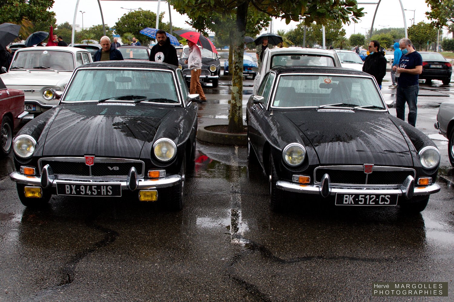 MG-BGT-03.jpg