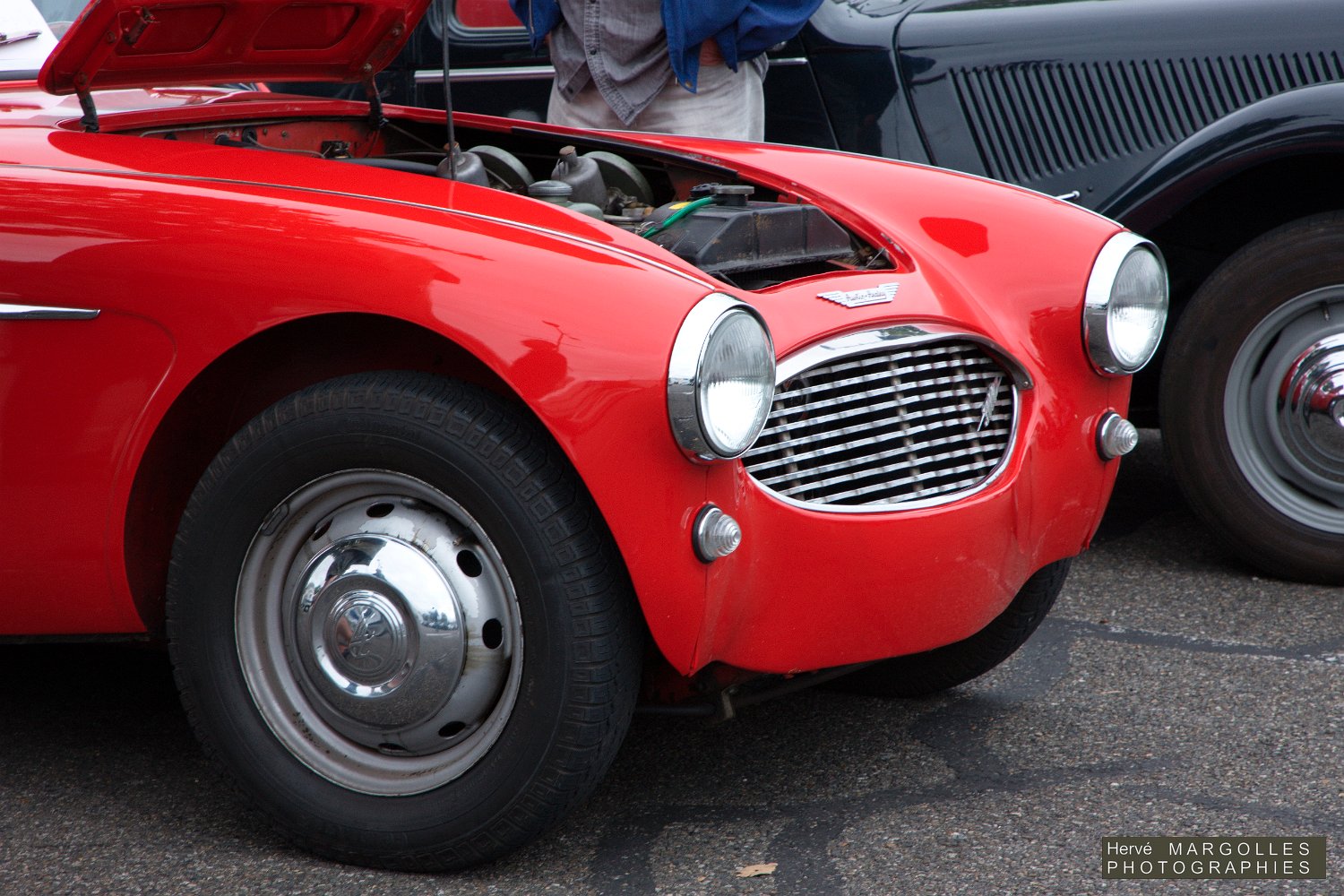 Austin-Healey_01.jpg