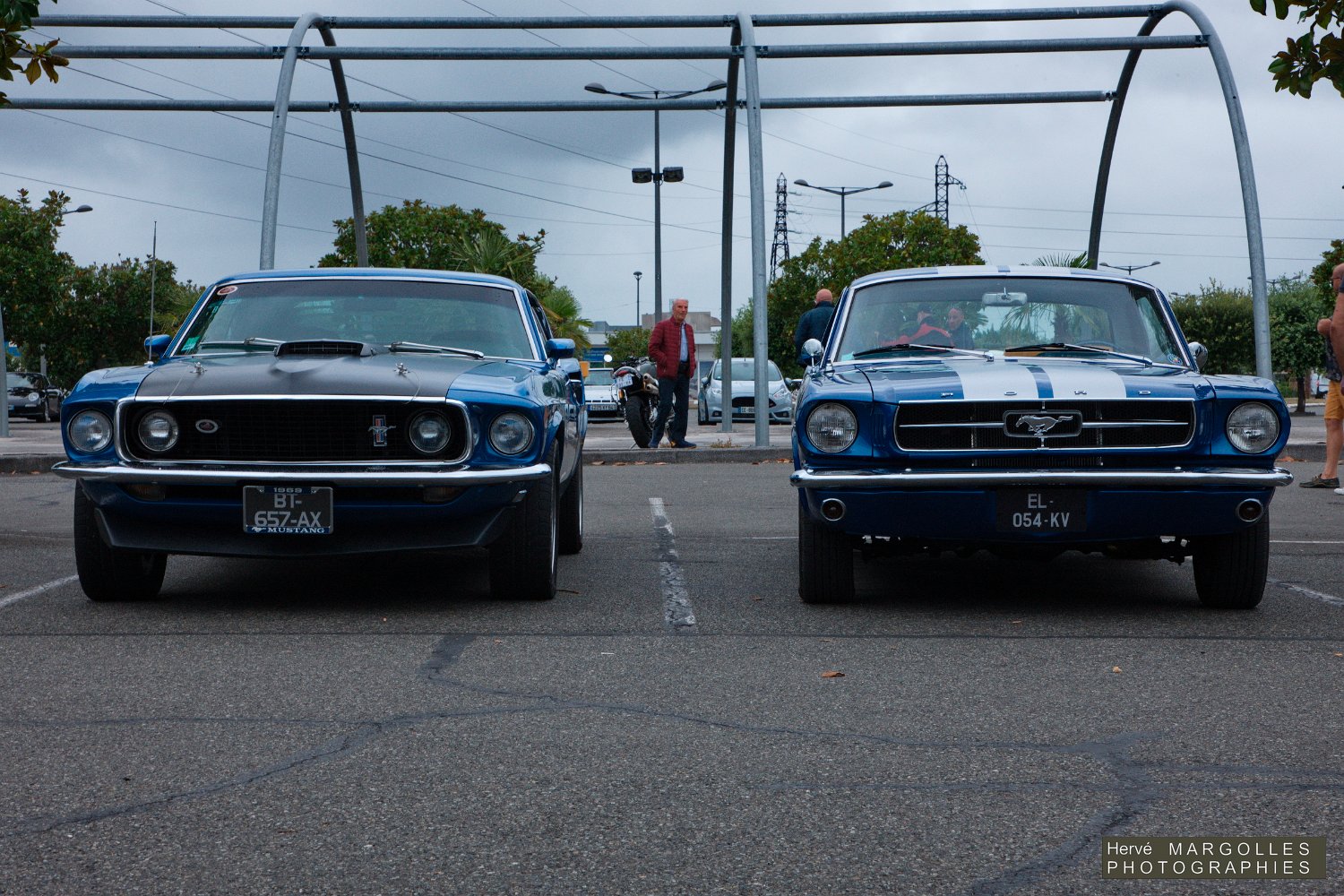 Ford-Mustang_02.jpg