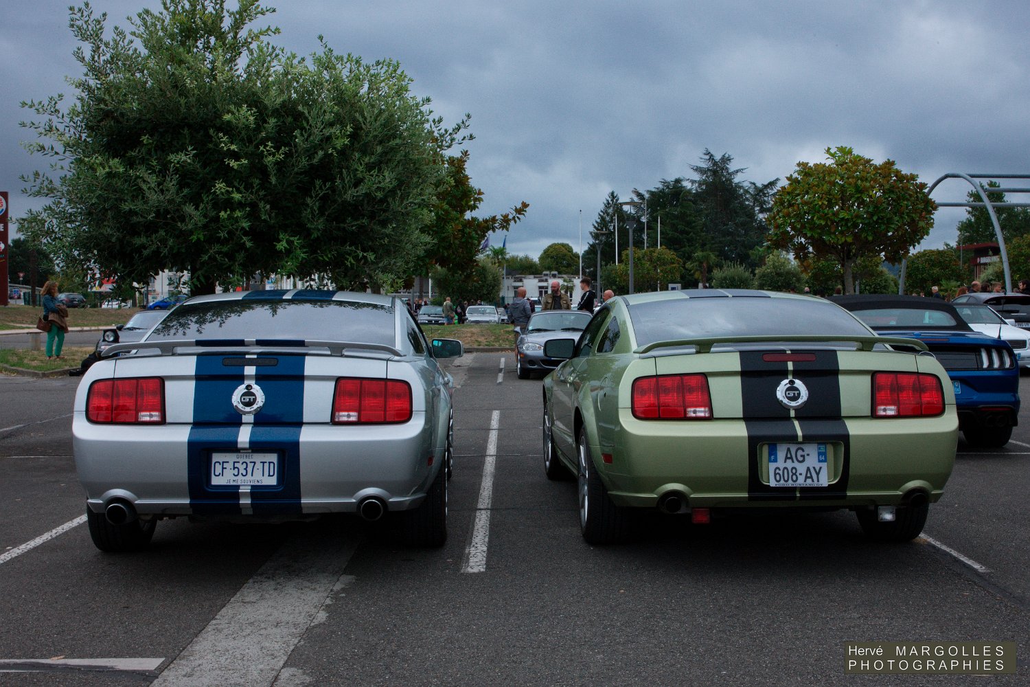 Ford-Mustang_03.jpg
