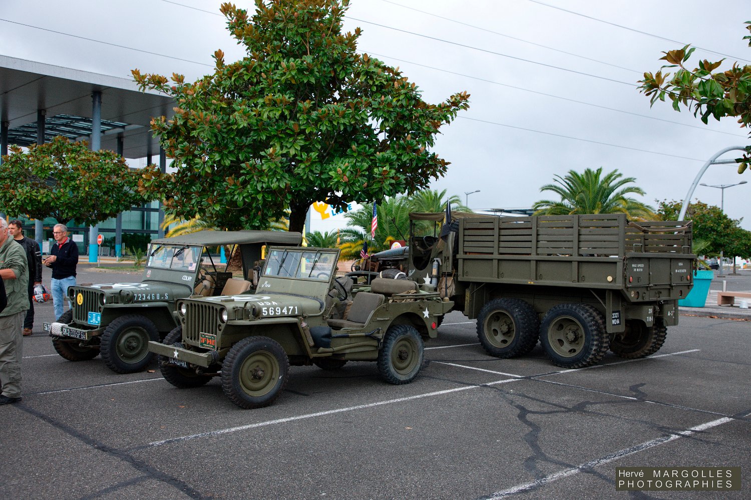 Militaria-01.jpg