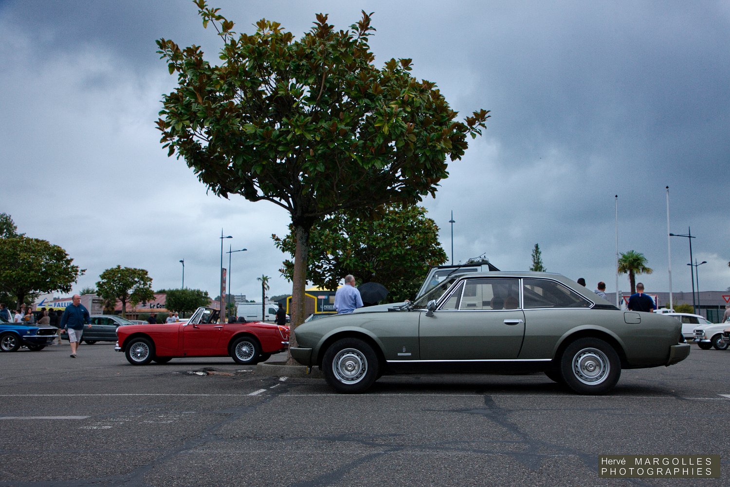 Peugeot-504_02.jpg
