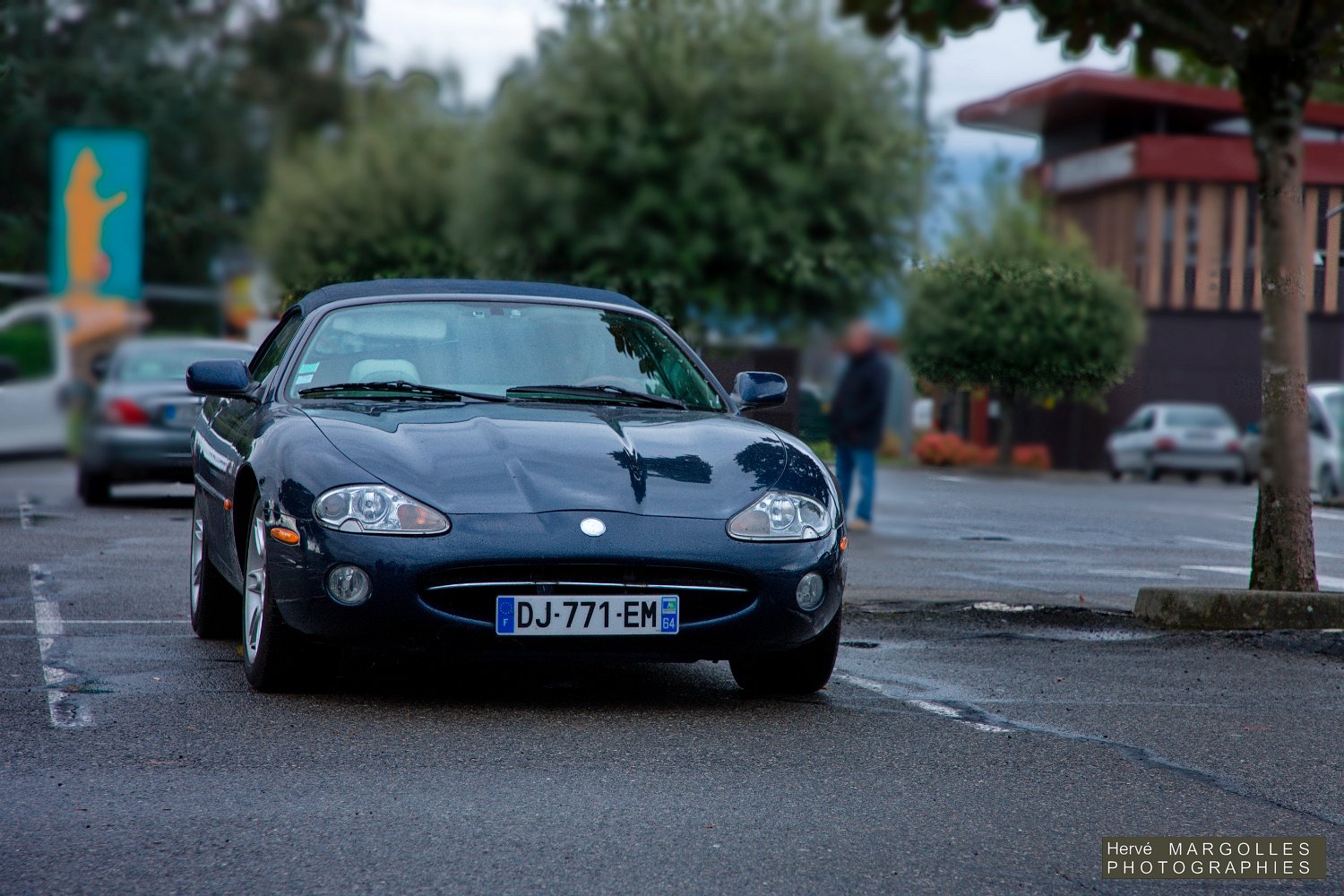 Jaguar-02.jpg