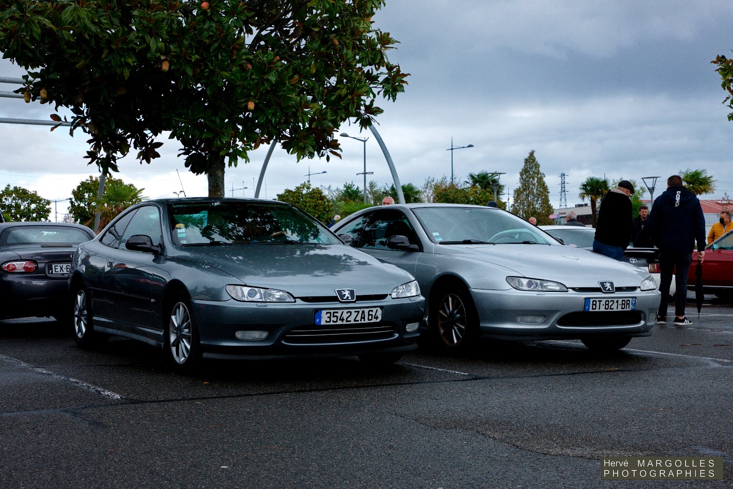Peugeot-406.jpg