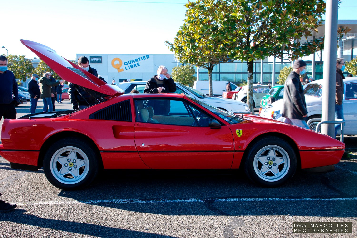 Ferrari-01.jpg