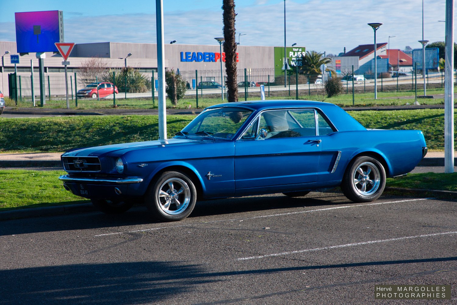 Ford-Mustang-01.jpg