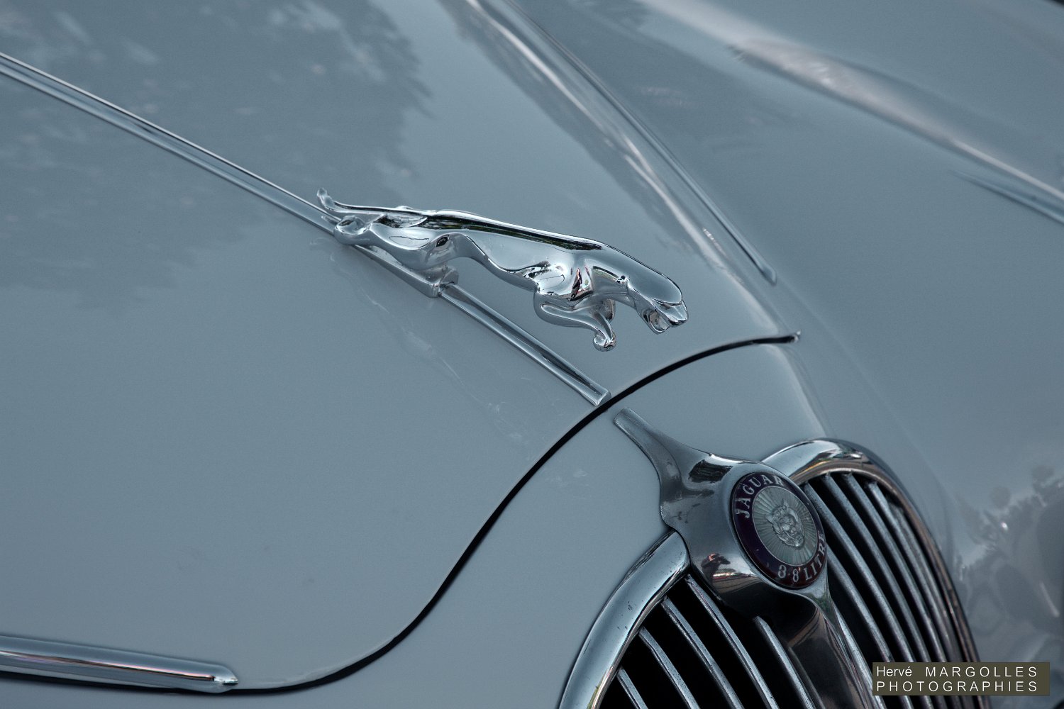 Jaguar-MKII-05.jpg