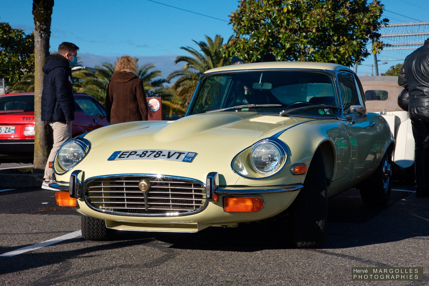 Jaguar-TypeE-01.jpg