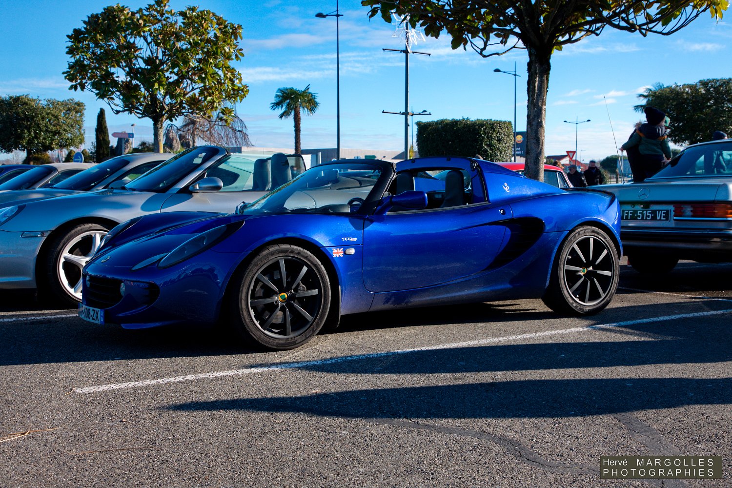 Lotus-01.jpg