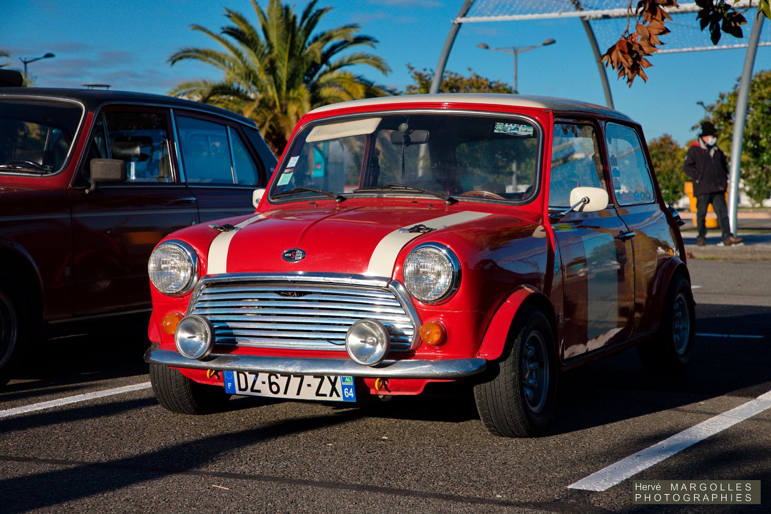 Mini-01.jpg