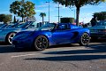 Lotus-01