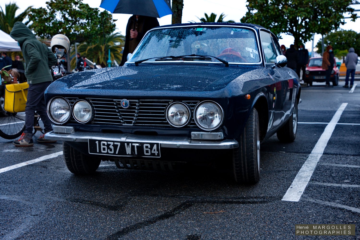 Alfa-Romeo-04.jpg