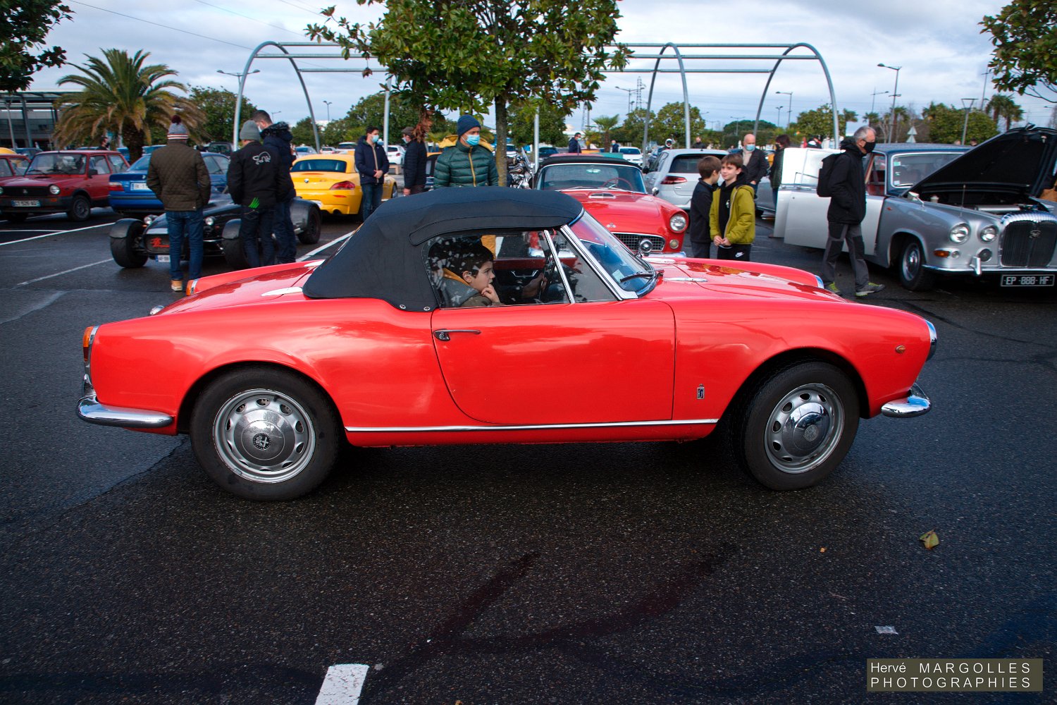 Alfa-Romeo-05.jpg