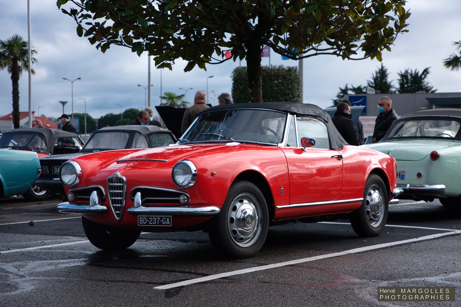 Alfa-Romeo-06.jpg