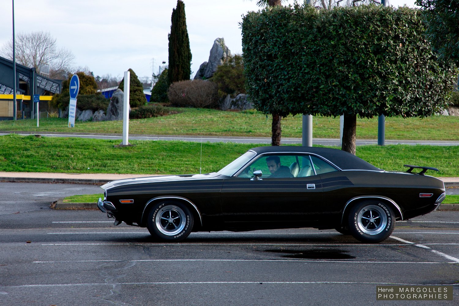 Dodge-01.jpg