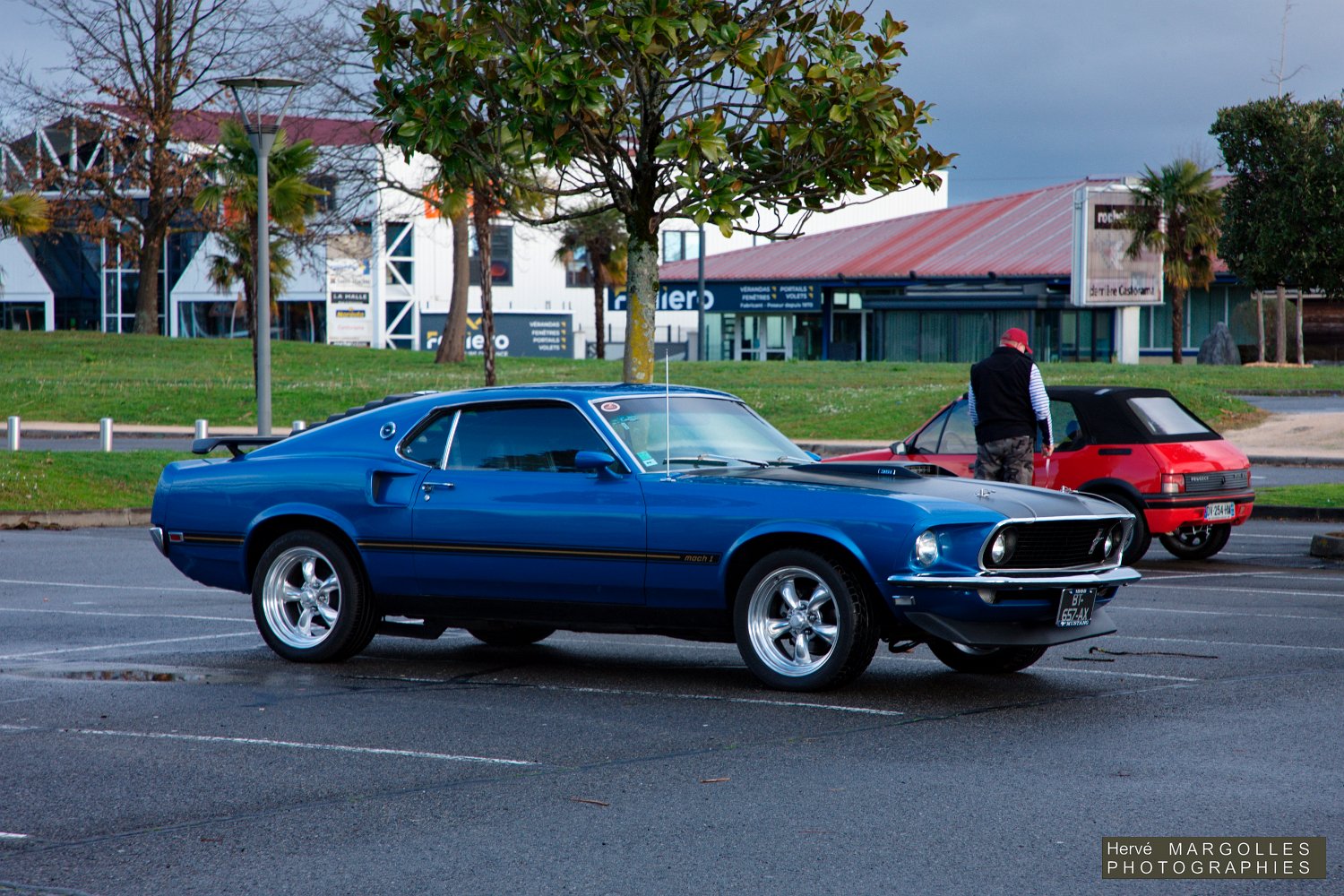 Ford-Mustang-01.jpg