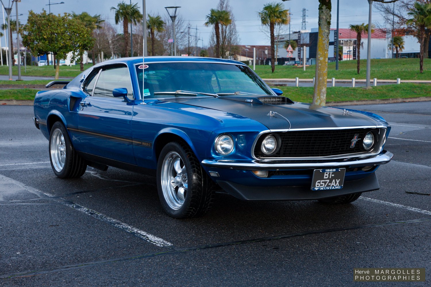 Ford-Mustang-02.jpg