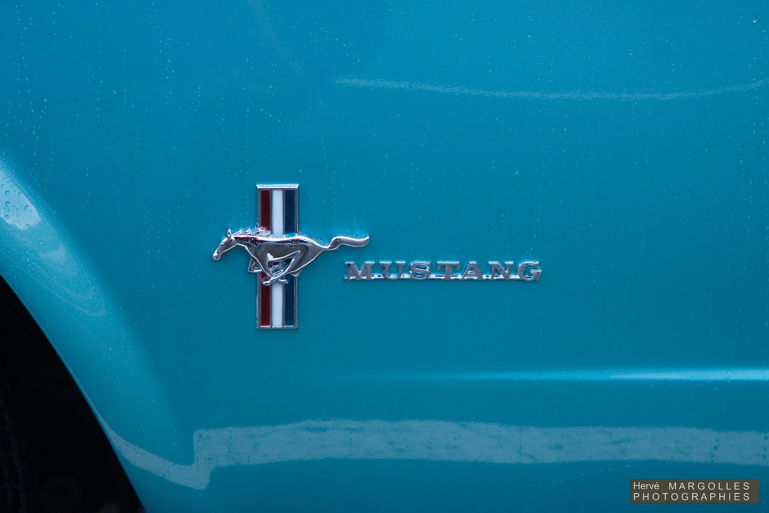 Ford-Mustang-03.jpg