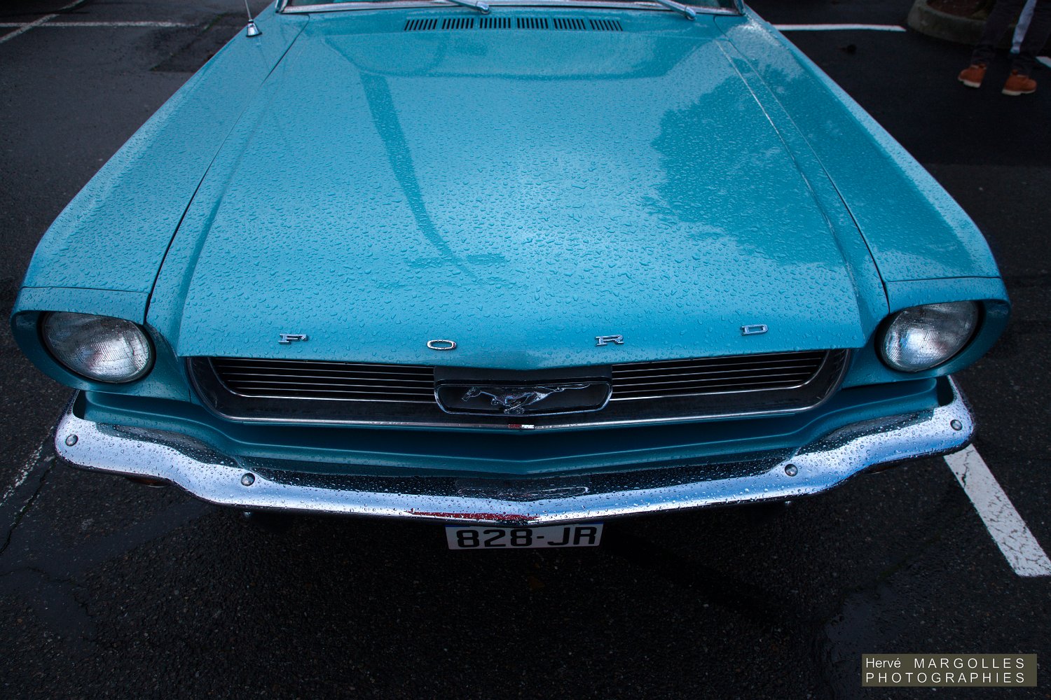 Ford-Mustang-04.jpg