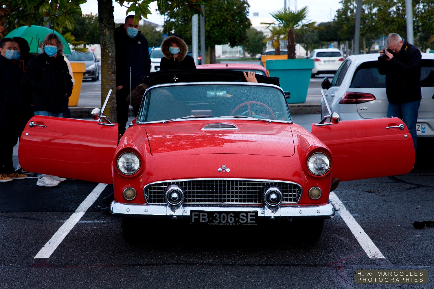 Ford-Thunderbird-01.jpg