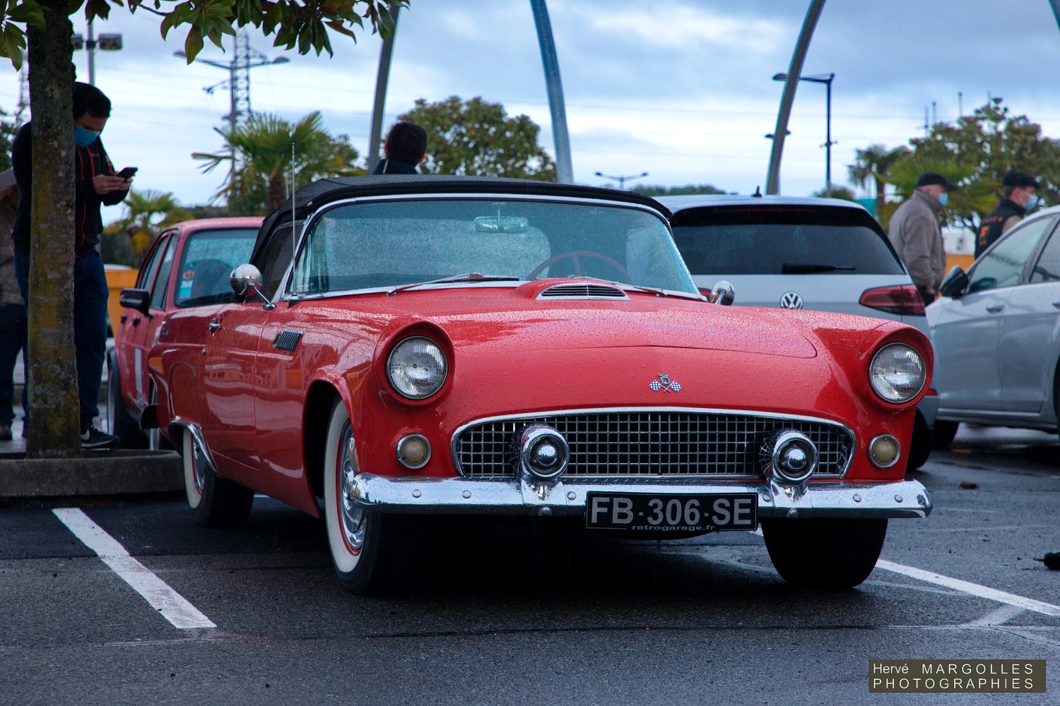 Ford-Thunderbird-02.jpg