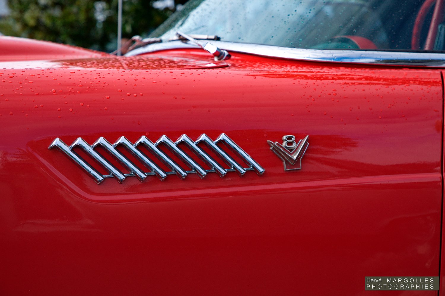 Ford-Thunderbird-04.jpg