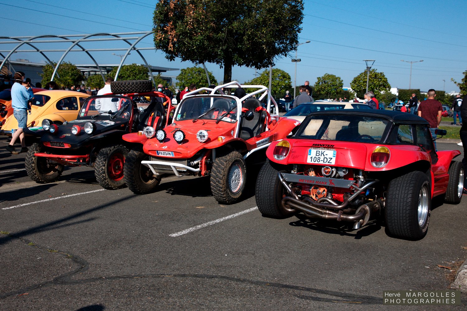 Buggy-01.jpg