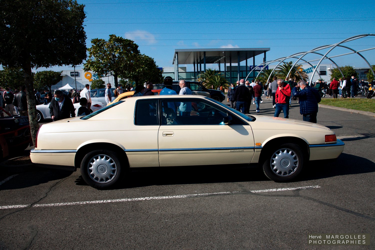 Cadillac-02.jpg