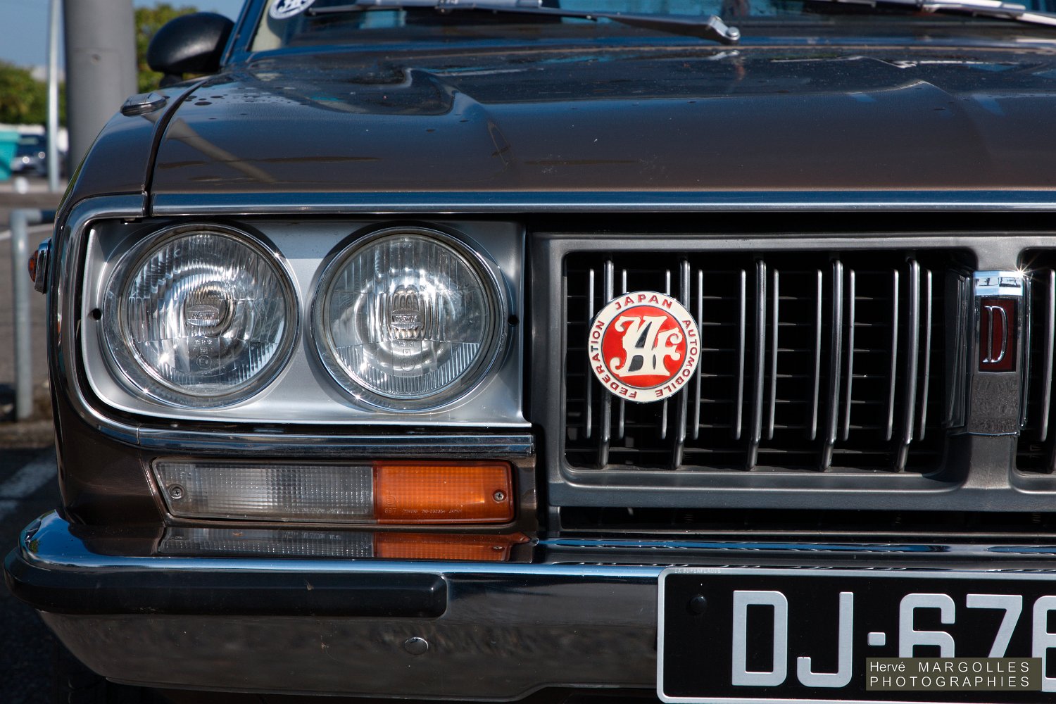 Datsun-02.jpg