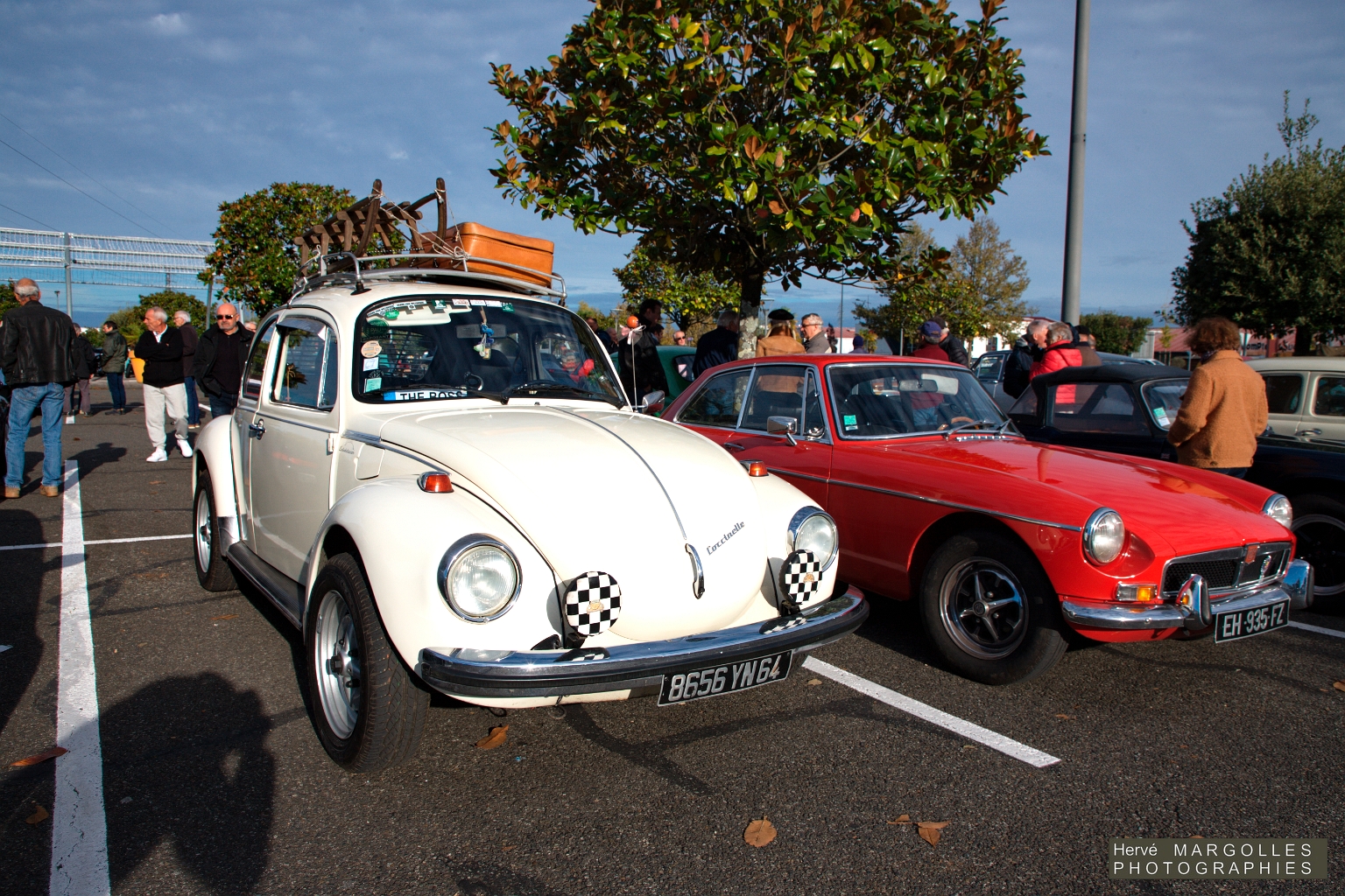 VW-Cox-01.jpg