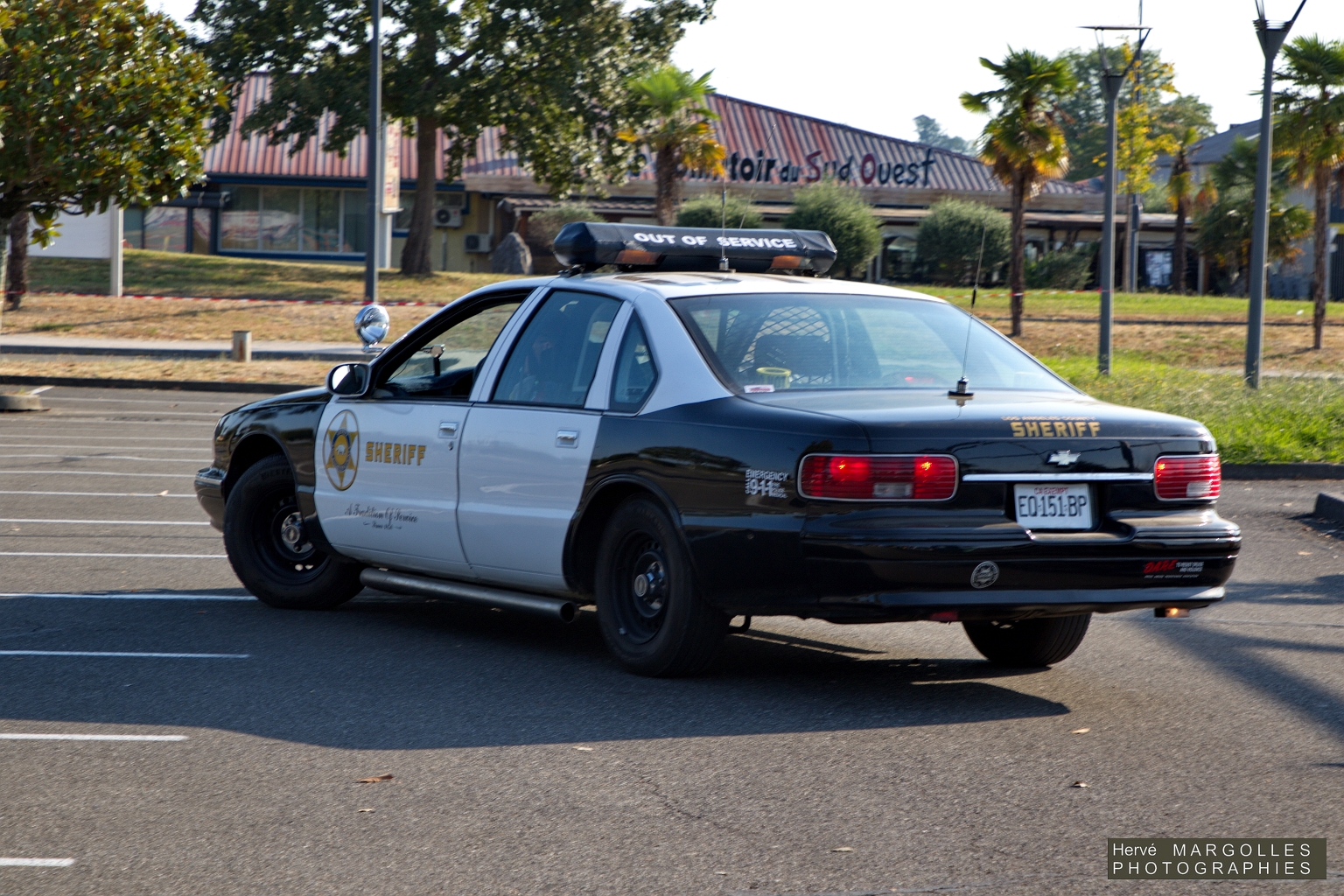 SHERIFF-01.jpg