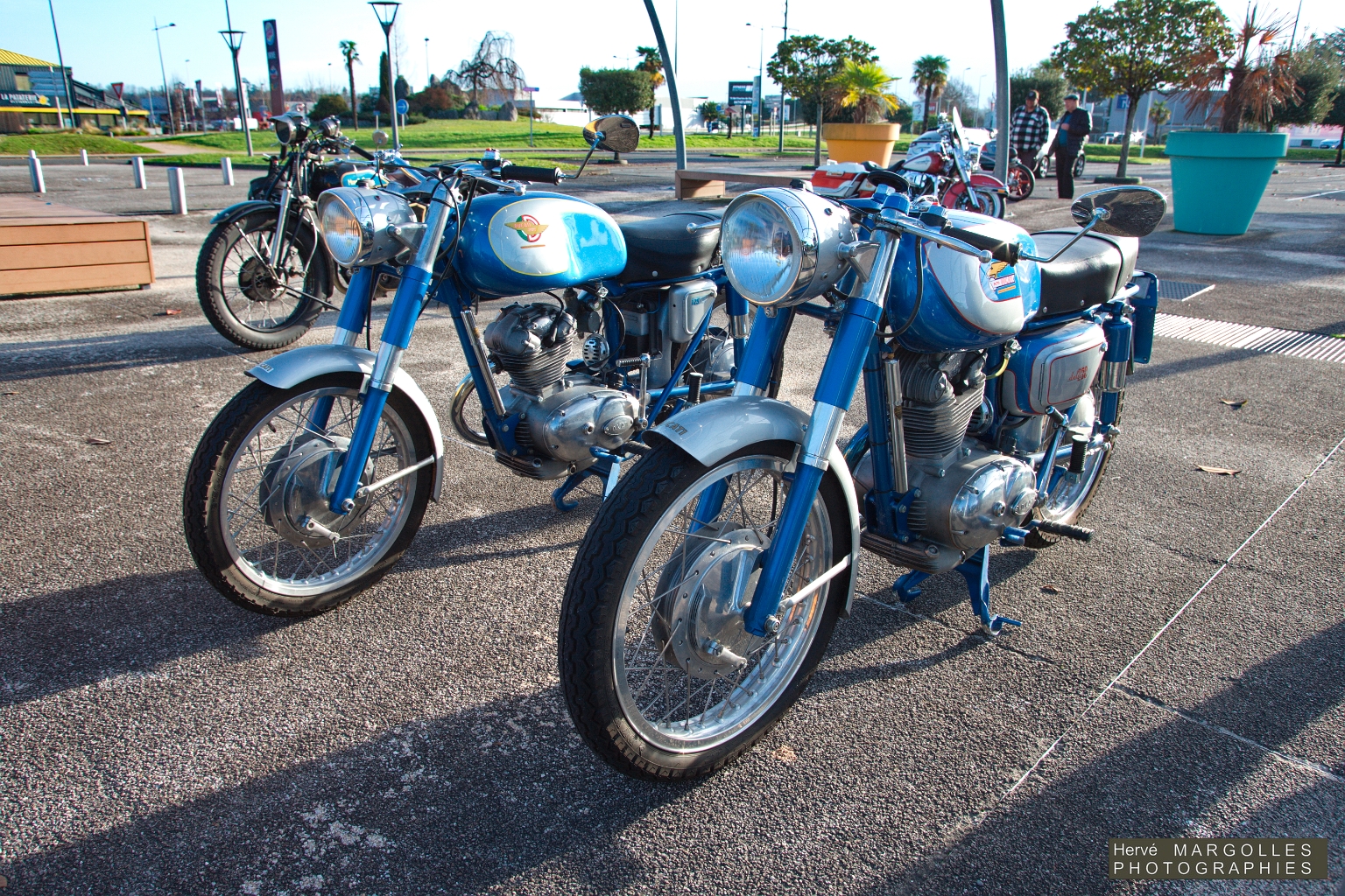 X-Moto_02.jpg