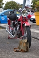 Norton