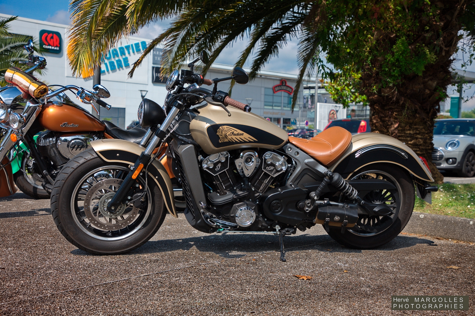 X_Moto_06.jpg