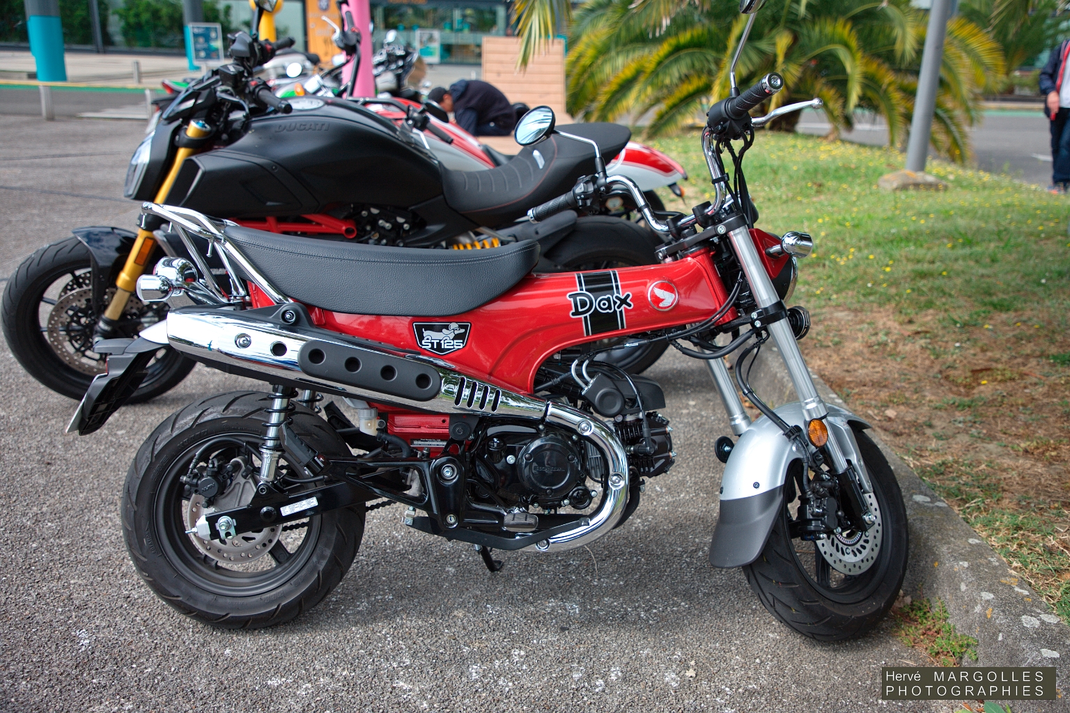 X-Moto_05.jpg
